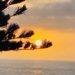 Private Tour : Cape of Good Hope,Penguin Colony& Muizenberg Beach - The Complete Experience: What to Expect