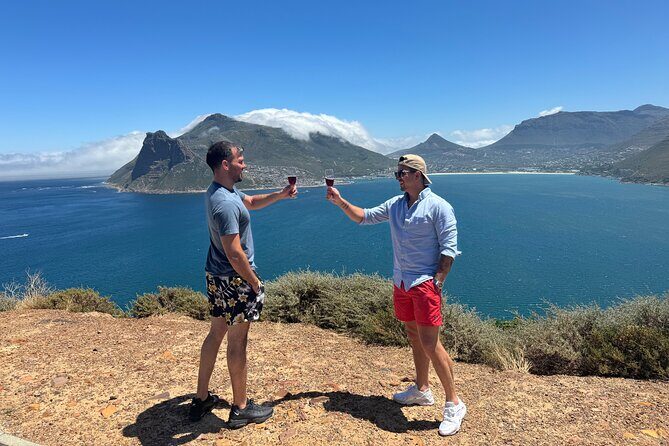 Private Tour: Cape Peninsula & Penguin Beach, Cape Point & more - Why This Tour Offers Great Value