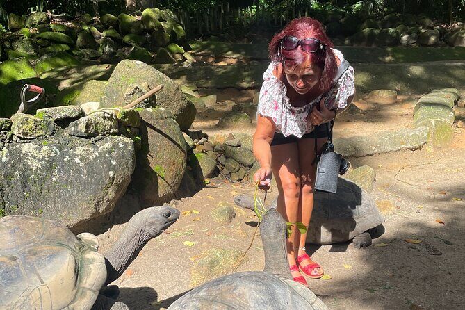 Private Tour: Discover Mahe Beyond the Ordinary - A Closer Look at the Itinerary