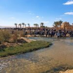 Private tour El Fayoum Oasis and Wadi Rayan waterfall from Cairo - Things to Consider