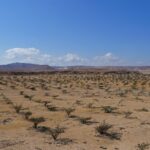 Private tour - Empty Quarter desert adventure - Wadi Dawka + Ubar - The Heart of the Experience: The Empty Quarter Dunes
