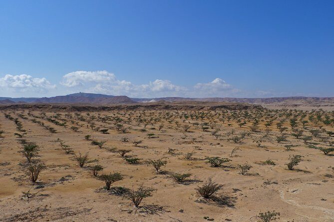 Private tour - Empty Quarter desert adventure - Wadi Dawka + Ubar - The Heart of the Experience: The Empty Quarter Dunes