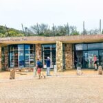 Private Tour from Cape Town to Cape of Good Hope and Cape Point - Why This Tour Works Well