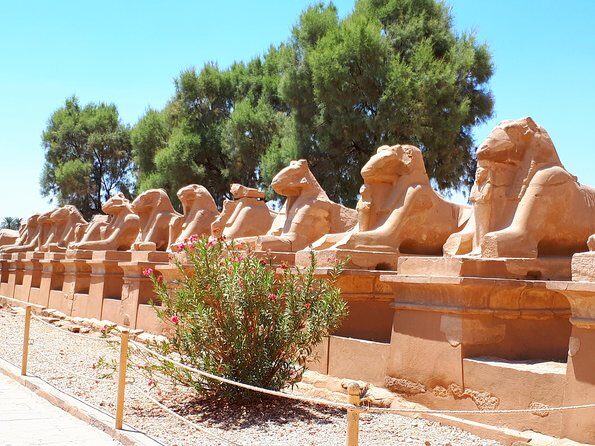 Private Tour from Luxor Airport to the Best Monuments of Luxor - Breakdown of the Itinerary