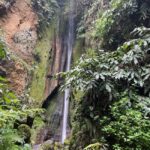 Private Tour Furnas: Furnas Lake Hike & Terra Nostra Park - Exploring Furnas Village and Its Secrets