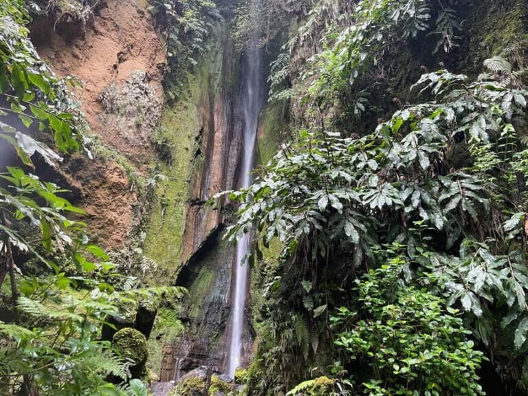 Private Tour Furnas: Furnas Lake Hike & Terra Nostra Park - Exploring Furnas Village and Its Secrets