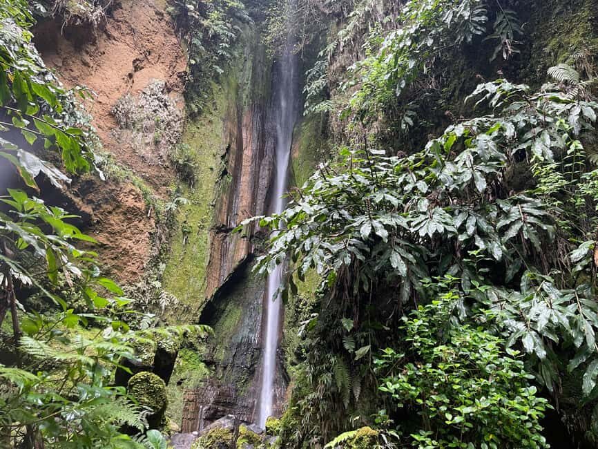Private Tour Furnas: Furnas Lake Hike & Terra Nostra Park - Exploring Furnas Village and Its Secrets