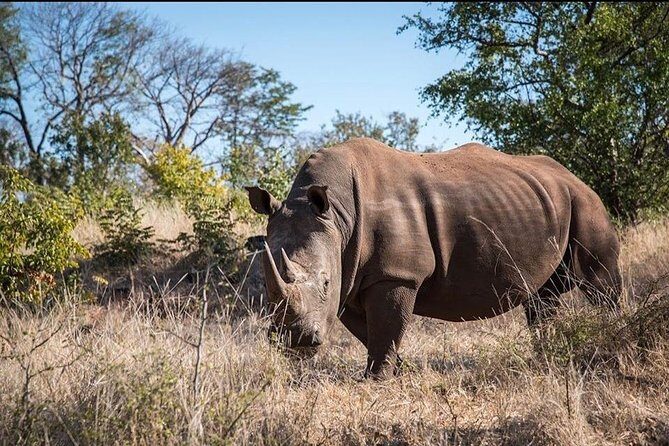Private Tour - Game Drive & Rhino Walk Safari - Who Would Love This Tour?