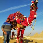 Private tour Giza Pyramids and Sphinx with camel ride - The Practicalities: What You Need to Know