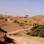 Private Tour: High Atlas and Agafay Rocky Desert Day Trip from Marrakech - Why This Tour Works Well