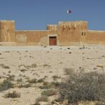 Private Tour in Northern Qatar - What Sets This Tour Apart?