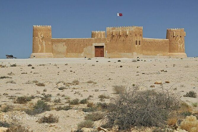 Private Tour in Northern Qatar - What Sets This Tour Apart?