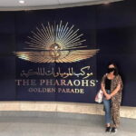 Private tour NEMC Royal mummies and Civilization Museum - Why This Tour Offers Great Value