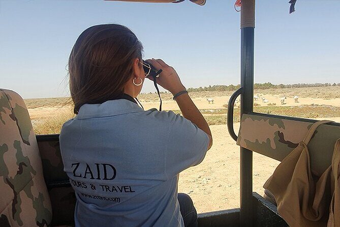 Private Tour of Desert Castles Eastern Jordan with optional Azraq Wetland Visit - What You Can Expect from the Experience