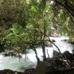 Private tour of the Israeli Far North - Tel Dan, Banias Reserve & Waterfall - Practical Details: What You Need to Know
