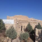 Private Tour Petra and Shobak Castle from Amman - Who Is This Tour Best For?