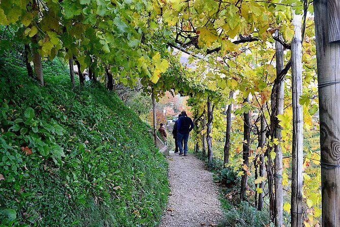 Private Tour: Prosecco Wine Tasting Day Trip with Lunch from Venice - Exploring the Itinerary: What You Can Expect