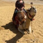 Private tour Pyramids of Giza - Who Should Consider This Tour?