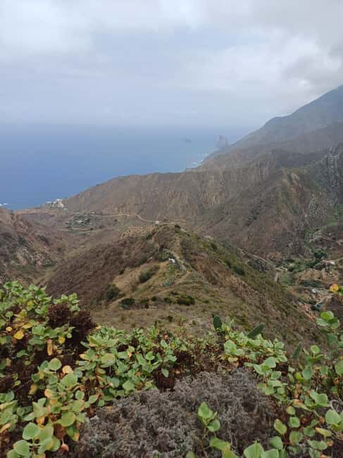 Private Tour Tenerife: Anaga, Taganana, Benijo & La laguna - Exploring Anaga Rural Park: A UNESCO Biosphere Reserve