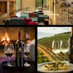 Private Tour to 20 Wine Tasting in Stellenbosch and Franschhoek - Who Would Love This Tour?