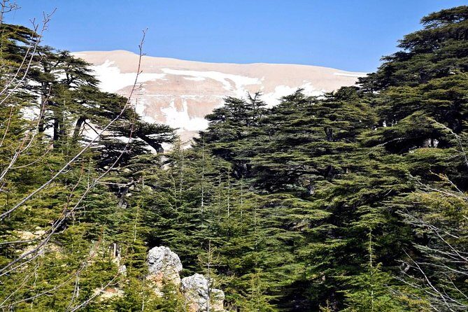 PRIVATE Tour to Cedars of God, Besharre & Qozhaya Valley - Practical Details and Experience Quality