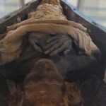 Private Tour To Egyptian Museum, Old Cairo & Bazaar - Authentic Experiences and Hidden Gems