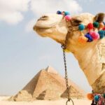 Private tour to Giza Pyramids, Saqqara and Memphis - Authentic Insights from Reviewers