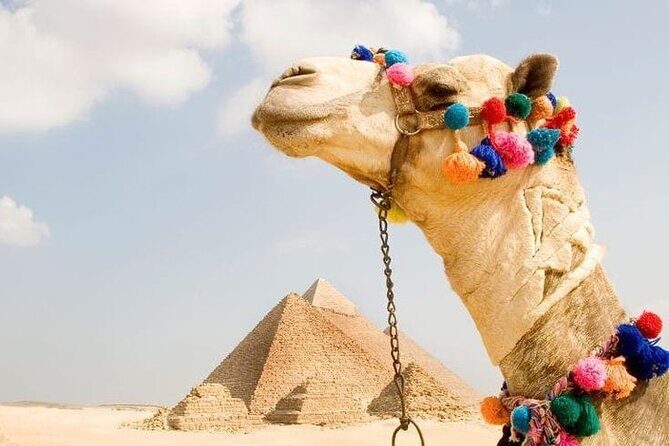 Private tour to Giza Pyramids, Saqqara and Memphis - Authentic Insights from Reviewers
