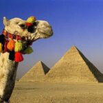 Private Tour to Giza Pyramids, Sphinx, Coptic Cairo and Islamic Cairo - Why This Tour Offers Great Value
