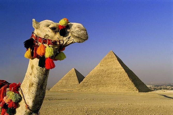 Private Tour to Giza Pyramids, Sphinx, Coptic Cairo and Islamic Cairo - Why This Tour Offers Great Value