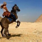 Private Tour to Giza Pyramids, The Sphinx and Cairo Museum - Practical Details and Tips
