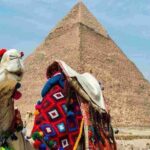 Private Tour To Giza Pyramids,Sphinx,panorama & Lunch - The Experience from the Reviews