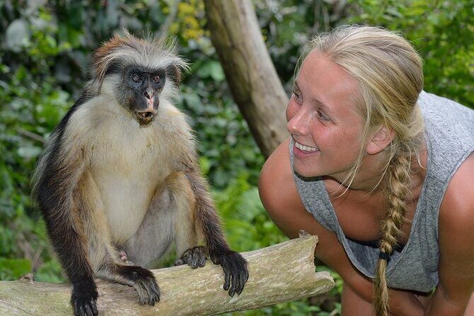 Private Tour to Jozani Forest Reserve Half-Day Guided Tour from Zanzibar - The Value of the Experience