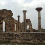 Private Tour To Meknes/ Volubilis/ Moulay Idriss From Fes - Who Is This Tour Best For?