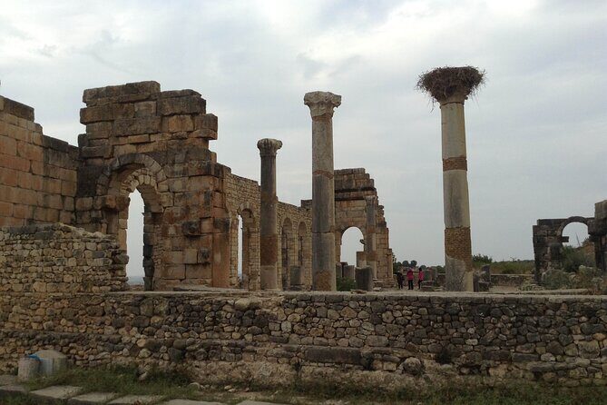 Private Tour To Meknes/ Volubilis/ Moulay Idriss From Fes - Who Is This Tour Best For?