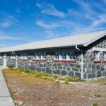 Private Tour to Robben Island and Cape Point in Cape Town - Authentic Experiences and Tips from Reviewers