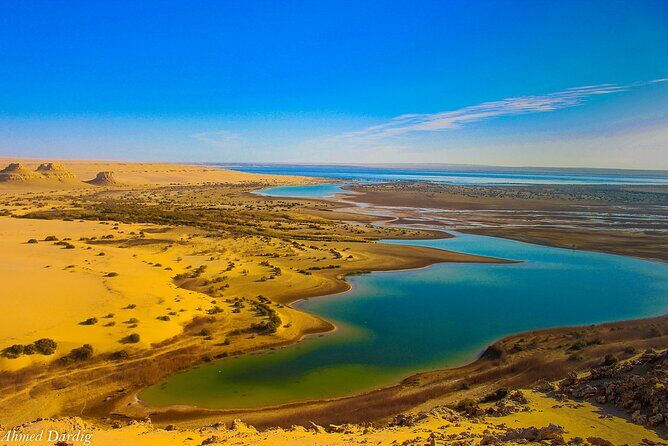 Private Tour to Whales Valley & Wadi El Rayan Waterfalls in El Fayoum from Cairo - What We Love About This Tour