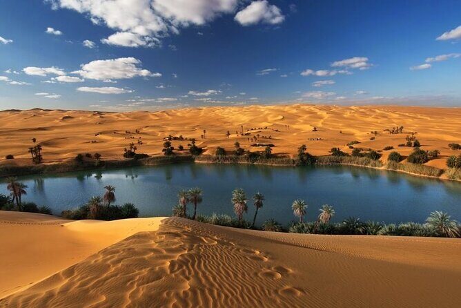 Private Tour Whales Valley And Wadi El Rayan Waterfalls In El Fayoum From Cairo - Transport & Comfort: What to Expect