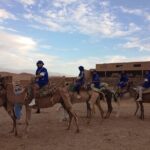 PRIVATE Tour with Dinner & Sunset with Camel To Desert Agafay - Transportation, Timing, and Logistics