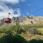 Private Tours in Cape Town - Itinerary Highlights: What to Expect