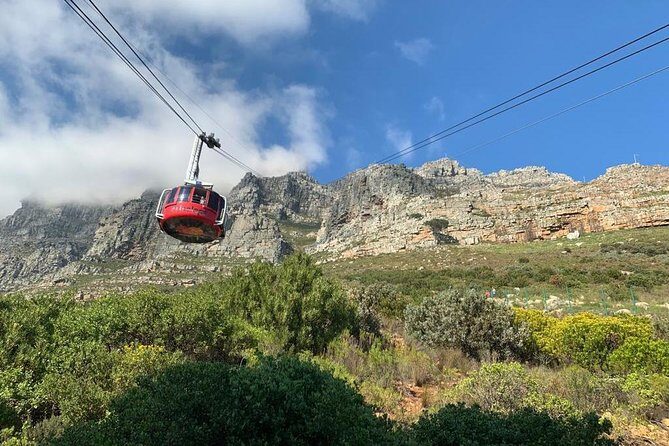 Private Tours in Cape Town - Itinerary Highlights: What to Expect