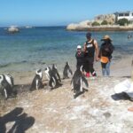 Private Tour:,Table Mountain ,Cape of Good hope & Penguins colony - Why This Tour Is a Great Choice