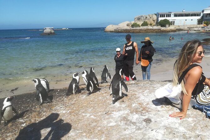Private Tour:,Table Mountain ,Cape of Good hope & Penguins colony - Why This Tour Is a Great Choice