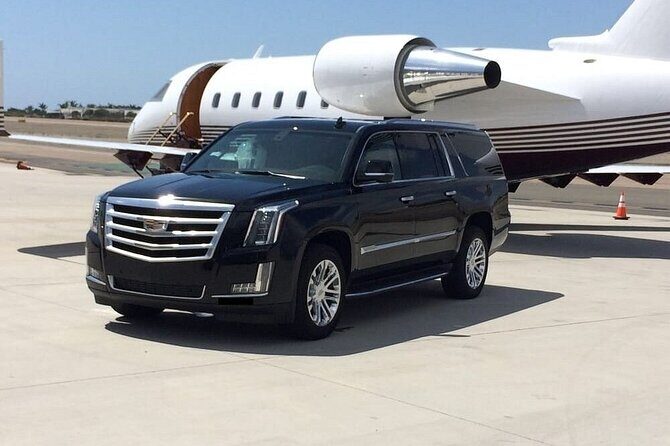 Private Transfer from Carnival Cruise Port to Jacksonville City - Vehicle Quality and Additional Offerings