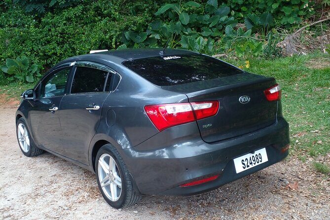 Private Transfer from Hotel, Port, and Airport of Seychelles - Why the Service Gets Notable Praise