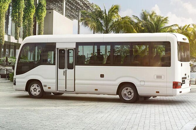 Private Transfer from Luxor International Airport to Luxor Hotels - The Real-Life Experience