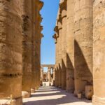 Private Transfer from Luxor to Aswan or vice versa - What Makes This Transfer Stand Out