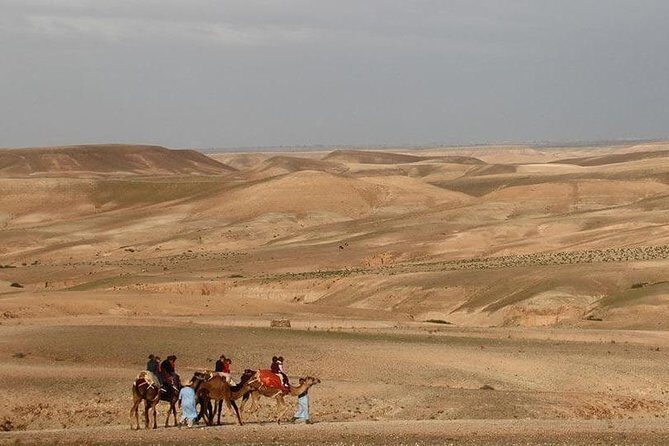 Private Transfer from Marrakech hotels, riads To Agafay Desert - The Journey to Agafay: What You Might Encounter