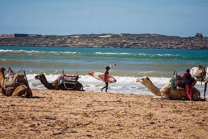 Private transfer From Marrakech to Essaouira - A Closer Look at the Route and Stops