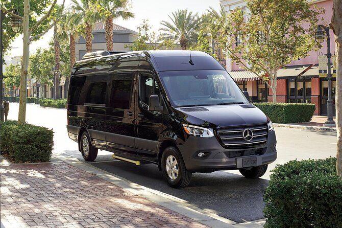Private Transfer from Tampa hotels to Tampa Bay Cruise Port - What’s Included and Additional Considerations